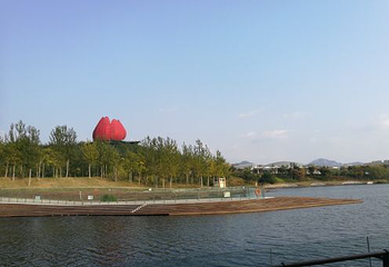 青岛世界园艺博览园第 72 张图片