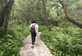 悠然山旅游度假区第 92 张图片