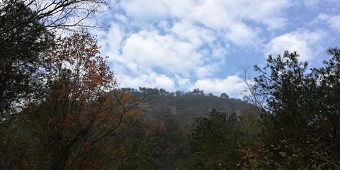 赤城山第 36 张图片
