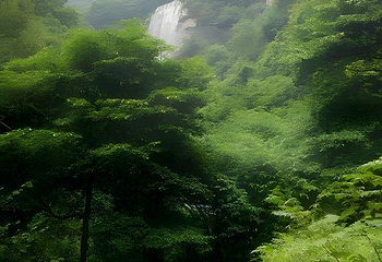 三峡大瀑布第 77 张图片