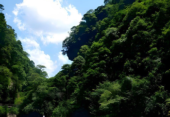 鹤峰屏山旅游景区第 57 张图片