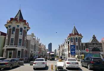 曹庄花卉市场第 7 张图片