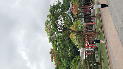 深圳华侨城旅游度假区第 48 张图片