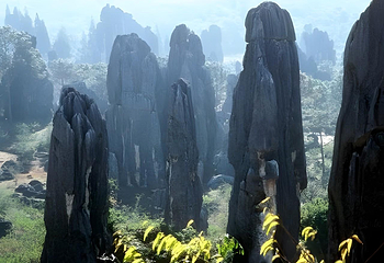 石林风景区第 306 张图片