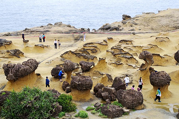野柳地质公园第 116 张图片