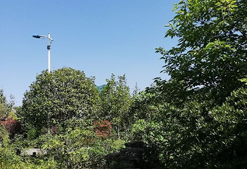 中华蝴蝶生态城第 27 张图片