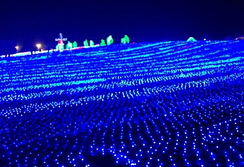 郑州拉维斯梦幻嘉年华第 12 张图片