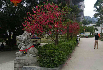 三里洋渡风景区第 20 张图片