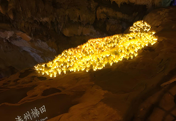 连州地下河第 115 张图片