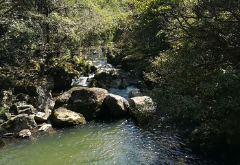 山沟沟景区第 53 张图片