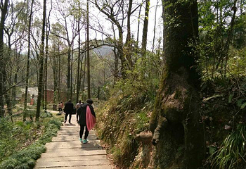 烂柯山第 14 张图片