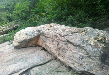 藤龙山风景区第 23 张图片