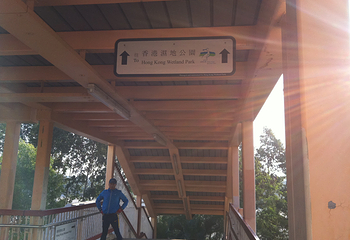 香港湿地公园第 34 张图片