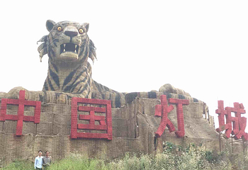 中国彩灯之乡第三届草雕节第 23 张图片