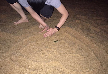 江山度假村第 2 张图片