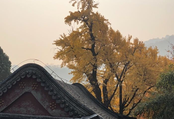 铜川香山第 2 张图片