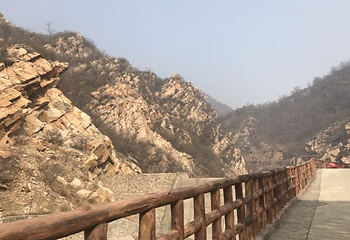 八仙山自然保护区第 31 张图片