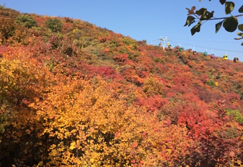 坡峰岭第 71 张图片