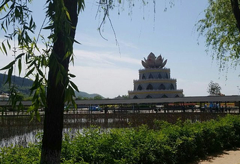 灵山莲花温泉度假区第 35 张图片
