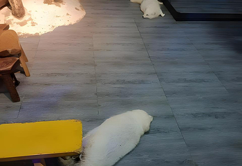 南京海底世界第 77 张图片