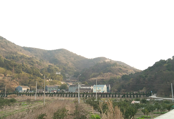 普陀区蚂蚁岛旅游区第 4 张图片