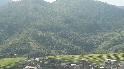 坪山梯田旅游区第 18 张图片