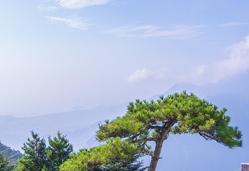 含鄱口第 10 张图片