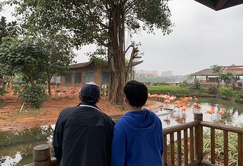 富力红树湾湿地公园第 23 张图片