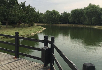 熊岳植物园第 25 张图片