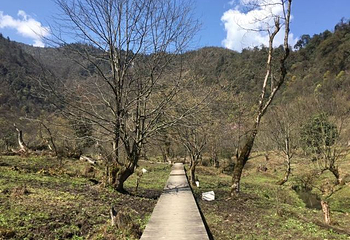 黑竹沟风景名胜区第 46 张图片