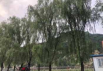 大连天门峡漂流第 12 张图片