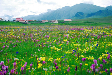 若尔盖花湖生态旅游区第 58 张图片