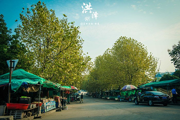洪泽湖古堰第 31 张图片
