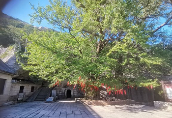 崂山太清游览区第 29 张图片