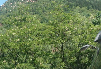 苏木山旅游区第 23 张图片