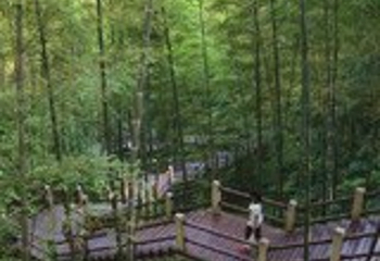 赤水竹海公园第 24 张图片