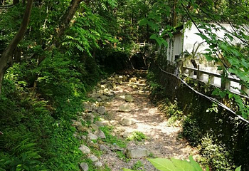九峰公园第 18 张图片
