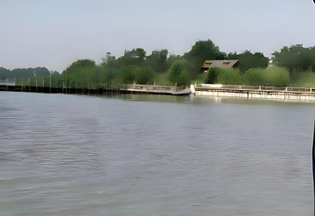 衡水湖旅游景区第 53 张图片