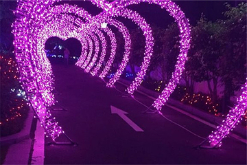 福湾财贸灯光节第 8 张图片