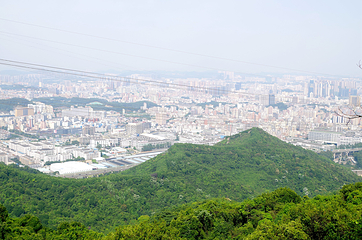阳台山森林公园第 22 张图片