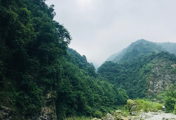 蟠龙谷第 19 张图片