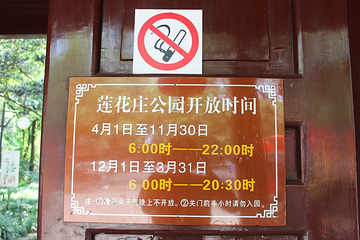 莲花庄公园第 12 张图片