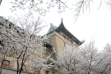 武汉大学第 75 张图片