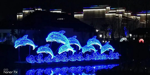 梅湖景区花博园第 16 张图片