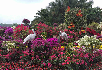 莲花山公园第 31 张图片