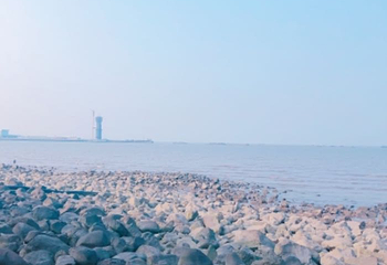 吴淞炮台湾湿地森林公园第 8 张图片