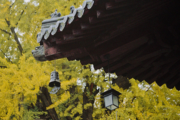 终南山观音禅寺第 13 张图片