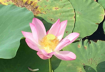 贾平凹故居第 9 张图片