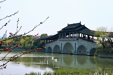 长广溪湿地公园第 24 张图片