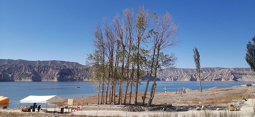 龙羊峡生态旅游度假区第 40 张图片
